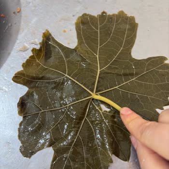 Reklamda Gösterilen İncecik Yapraklar İle Gerçek Ürün Arasındaki Tutarsızlık