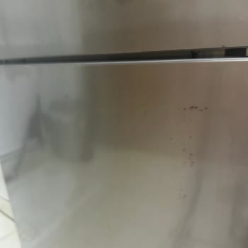 Buzdolabı Kapaklarındaki Kalıcı Küf Ve Sağlık Endişesi