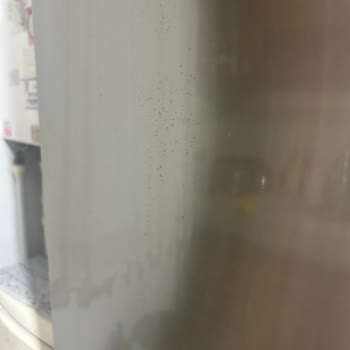 Buzdolabı Kapaklarındaki Kalıcı Küf Ve Sağlık Endişesi
