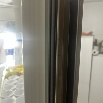 Buzdolabı Kapaklarındaki Kalıcı Küf Ve Sağlık Endişesi