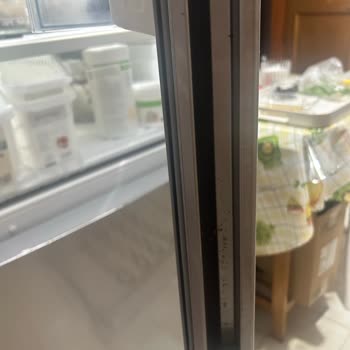 Buzdolabı Kapaklarındaki Kalıcı Küf Ve Sağlık Endişesi