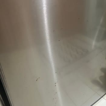 Buzdolabı Kapaklarındaki Kalıcı Küf Ve Sağlık Endişesi