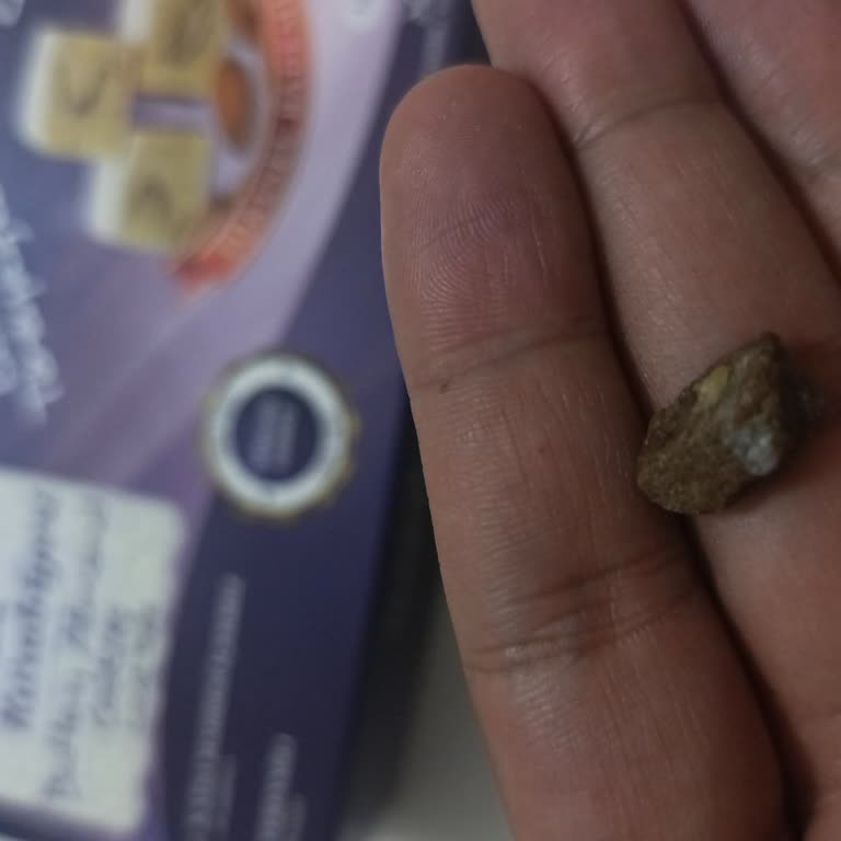 Arslanzade Kurabiyesinde Sert Taş Tespiti Diş Kırılmasına Neden Oldu