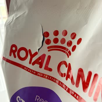 Hijyenik Olmayan Yırtık Paketli Kedi Maması Ve İade Sorunu