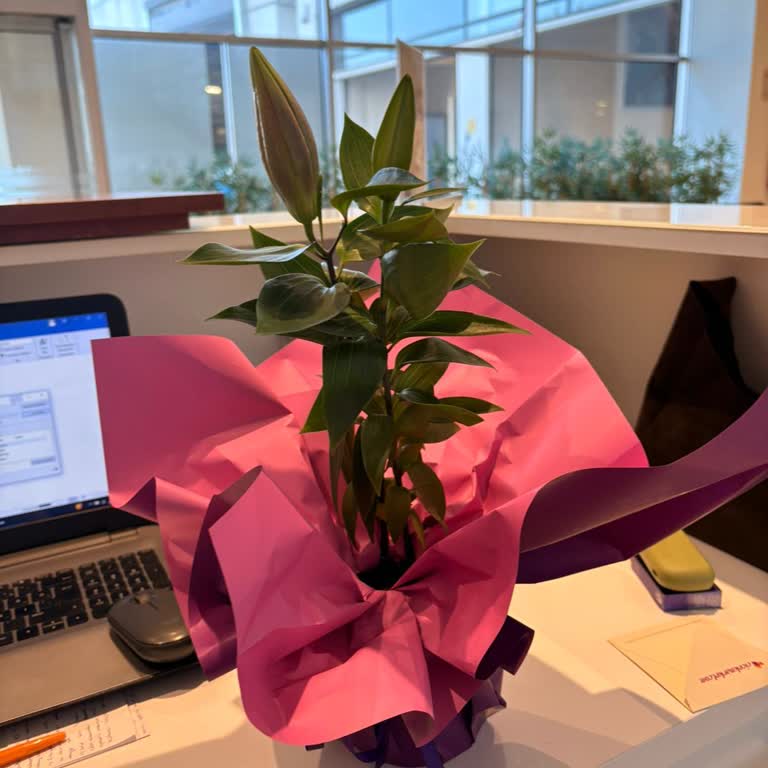 Görseliyle Uyuşmayan Çiçek Ve Saygısız Teslimat Nedeniyle Mağduriyet