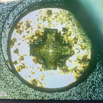 Trendyol Satıcının Sahte MSI Ürün Satışıyla Büyük Maddi ve Zaman Kayıpları