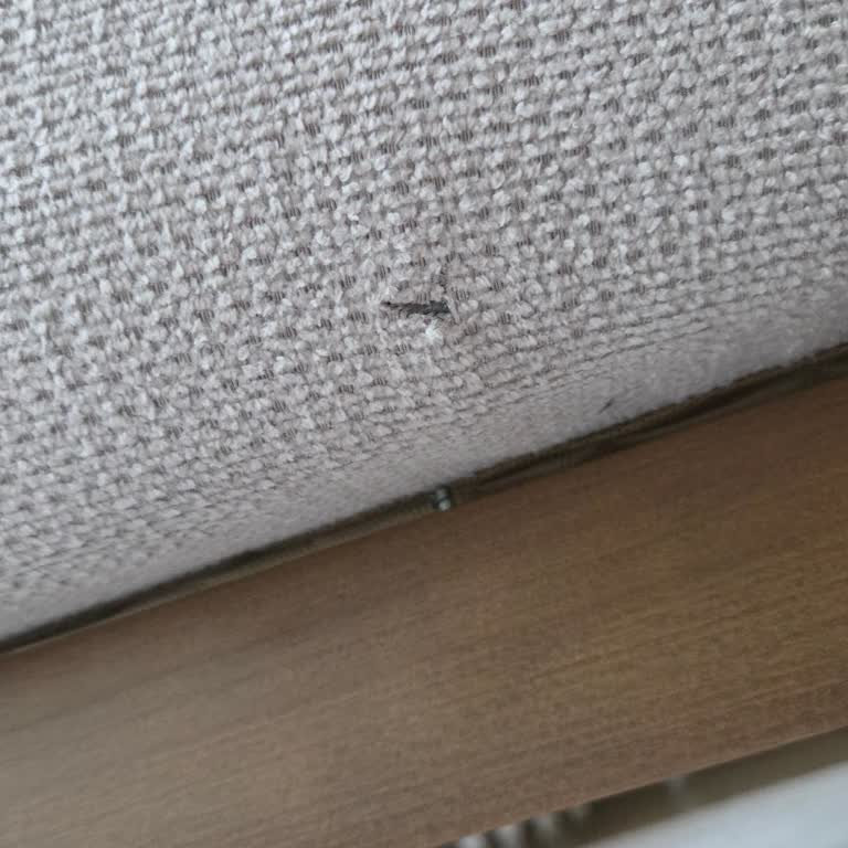 İstanbul MASKO Doğtaş'ta Yırtık Berjerin Sıfır Değişim Sözünün İhlali