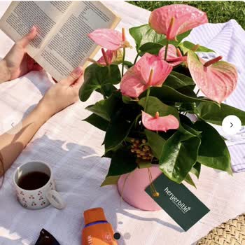 Yanıltıcı Ürün Görseli Ve Otomatik Onay Sonrası Müşteri Hizmetine Ulaşamama