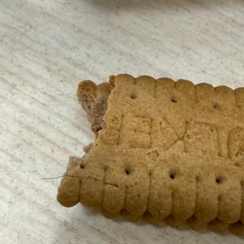 Ülker Bisküvideki Kıl Hijyen Sorunu Güveni Sarsıyor