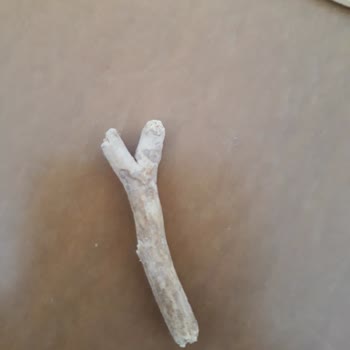 Getir Üzerinden Aldığım Leblebide Odunsu Cisim Sağlık Tehlikesi Yaratıyor