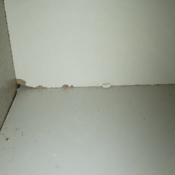 Ayıplı Yatak Odası Takımı Ve Tekli Bazalar İçin Değişim Ve İade Talebi