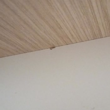 Ayıplı Yatak Odası Takımı Ve Tekli Bazalar İçin Değişim Ve İade Talebi