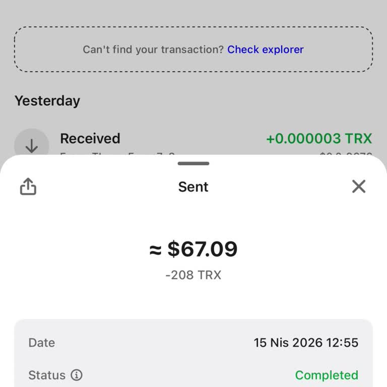 Wolbet'te Kripto Para Yatırmam Hesaba Yansımadı, Destek Yardımcı Olmadı