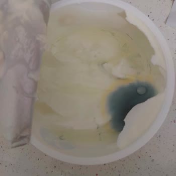 Açılmamış Sek Quark Ürünü Bozulmuş Ve Küflenmiş