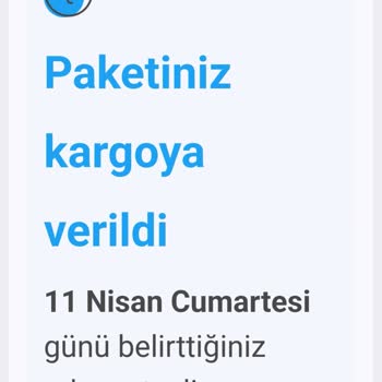 Kedimin Hayati Mama Siparişi Kayıp, Sağlık Durumu Kötüleşti