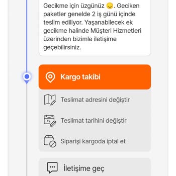 Kedimin Hayati Mama Siparişi Kayıp, Sağlık Durumu Kötüleşti