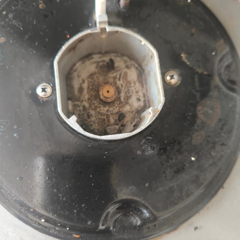 Alveus Fırın Flash Kapağı Değişimi Uzun Bekleme Ve Mağduriyet