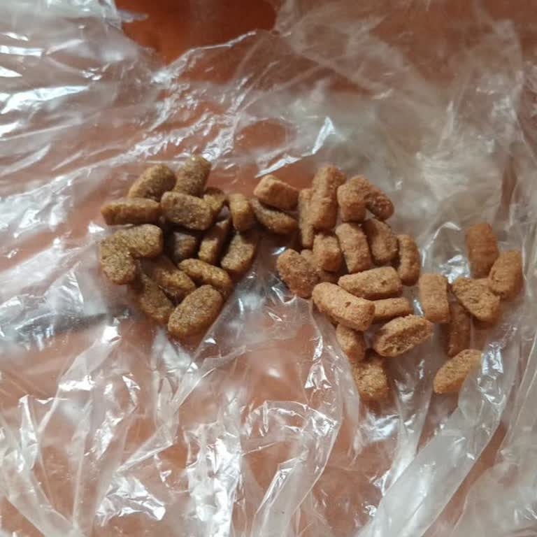 Petmerkezi'nden Aldığım Pro Plan Kedi Maması Farklı Çıktı Ve İade Gelmedi