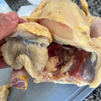 File Market’ten Bozulmuş Bolez Tavuk İçin İade Ve Araştırma Talebi