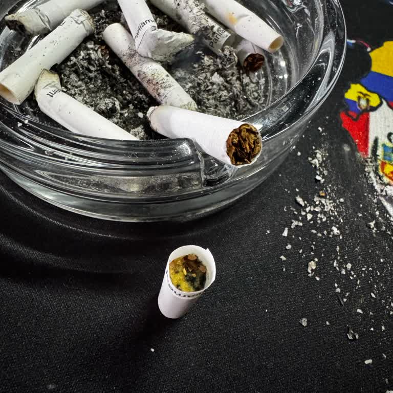 Morris Reserve Sigara Tütünü Filtre Süngerinden Ayrılıyor