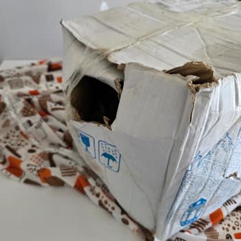 PTT Kargo 6 Gün Gecikmesi Nedeniyle Bozulmuş Kargom İçin Tazmin Talebi