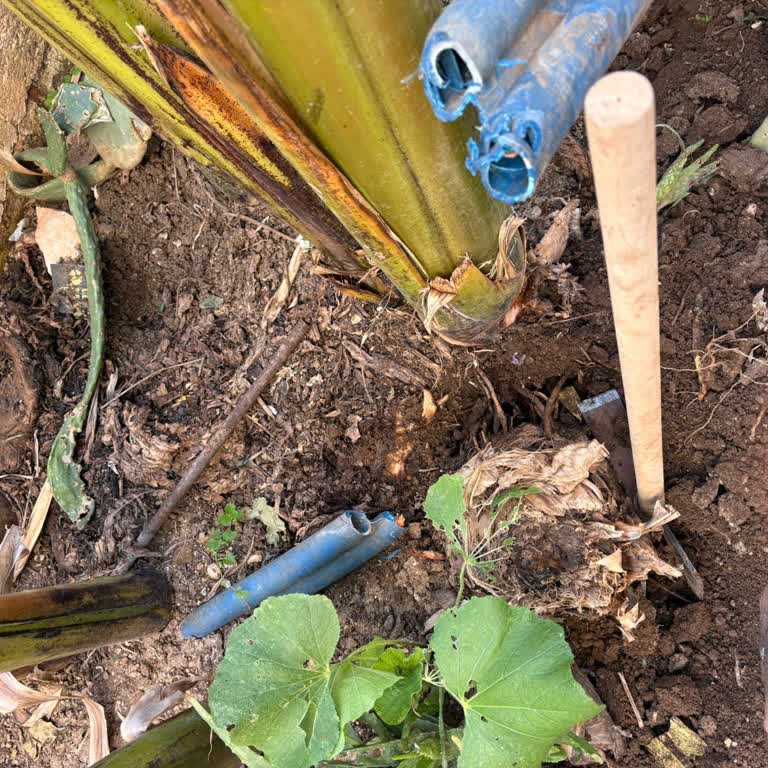 Türk Telekom Fiber Kesintisi 48 Saatlik İnternetsiz Bekleyiş Ve Cevapsız Müşteri Hizmetleri