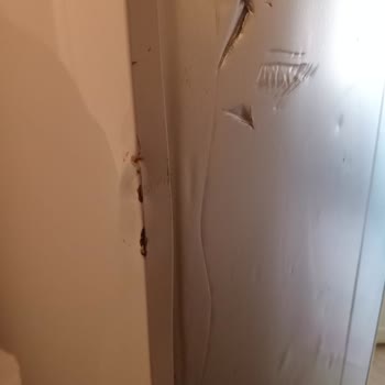 Teslimatta Hasarlı Buzdolabı Ve İlgisiz Servis Yaklaşımı