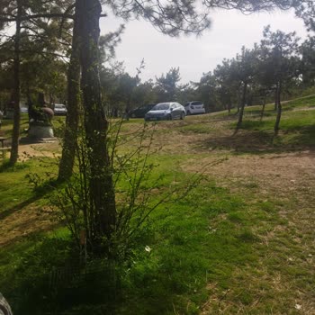 Mavi Göl'de Araç Ve Motosikletlerin Piknik Alanlarına Girişine Karşı Güvenlik Talebi