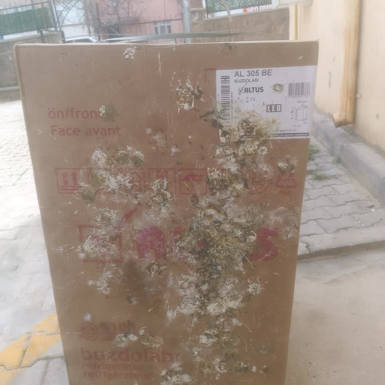 Kargo Teslimatında Saygısız Davranış Ve Müşteri Haklarının İhlali