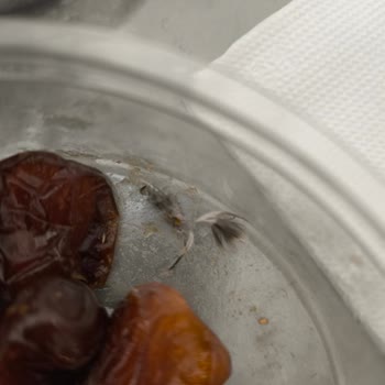 Ravza Hurma Hem Hijyen Hem De Sağlık Açısından Beni Ciddi Anlamda Endişelendirdi