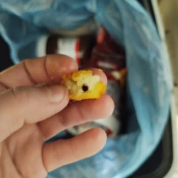 Gedik Piliç Nugget Ürününde Fare Dışkısı Tespit Edildi