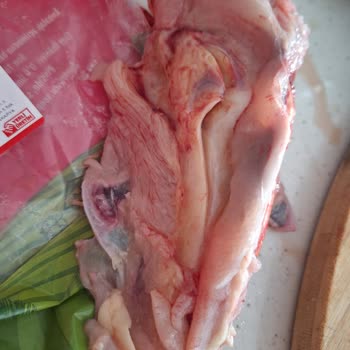 Şenpiliç Poşetli Tavukta Renk Ve Kan Sorunu, İade Ve İnceleme Talebi