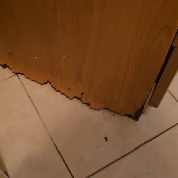 Aksigorta Asistans Hizmetini Sağlamadığı Nedeniyle 9.000 TL Tesisat Masrafının İadesi