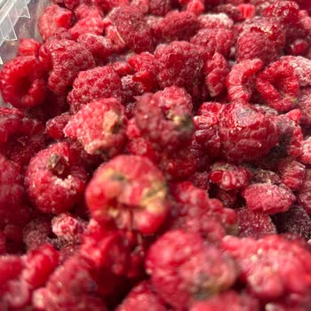 Metro Gross Market’te Dondurulmuş Frambuazda Kurtlar Ve Çürüme, Geri Dönüşsüz İade Talebi