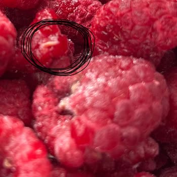 Metro Gross Market’te Dondurulmuş Frambuazda Kurtlar Ve Çürüme, Geri Dönüşsüz İade Talebi