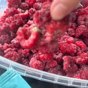 Metro Gross Market’te Dondurulmuş Frambuazda Kurtlar Ve Çürüme, Geri Dönüşsüz İade Talebi