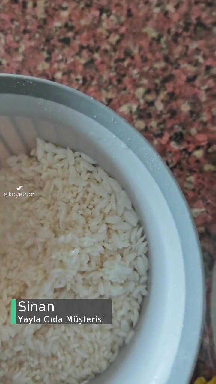 Yayla Suda Bekleyen Pirincin Hali! videonun kapak resmi