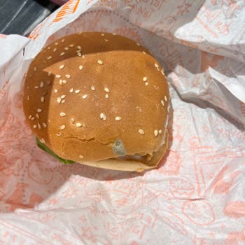 Popeyes Hamburgerinde Küflü Ekmek: Hijyen Ve Sağlık Endişesi