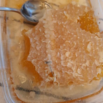 Petek Balda Metal Parça Tespiti Gıda Güvenliği Riski