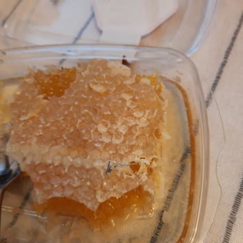 Petek Balda Metal Parça Tespiti Gıda Güvenliği Riski