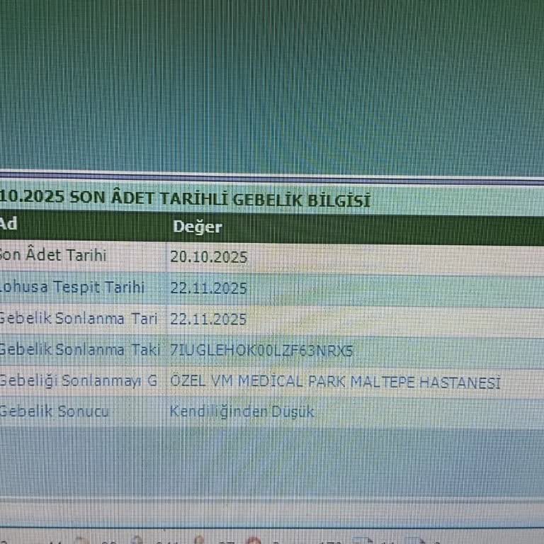 Gebelik Kayıtlarım Hatalı Gösteriliyor Ve Düzeltme Talebim