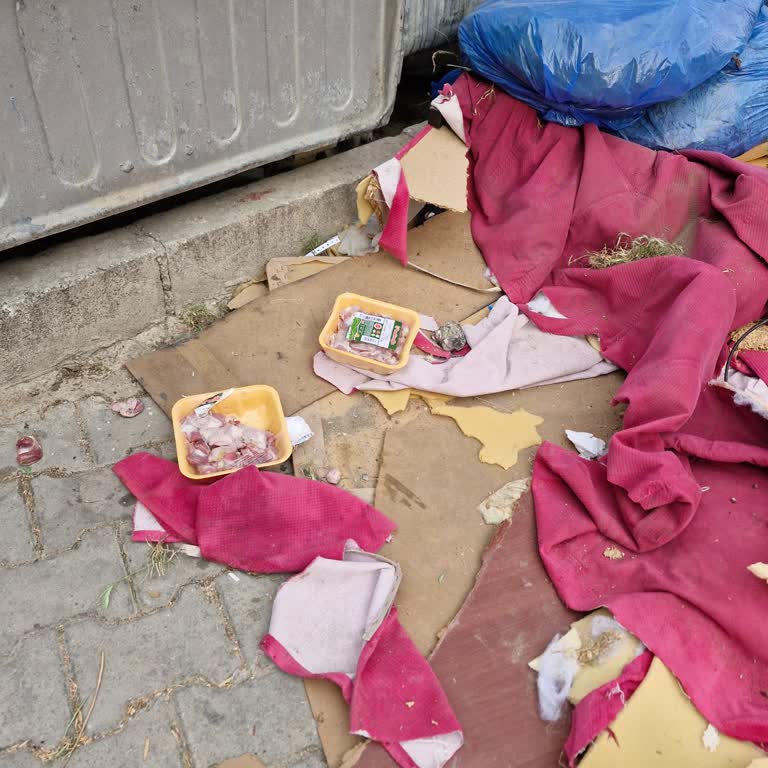 A101 Bayraklı’da Bozulan Et Çöpleri Kedileri Zehirliyor Ve İnsan Sağlığını Tehdit Ediyor