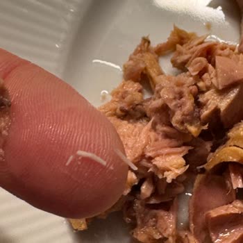 Ton Balığı Konserve İçinde Kılçık: Sağlık Tehlikesi