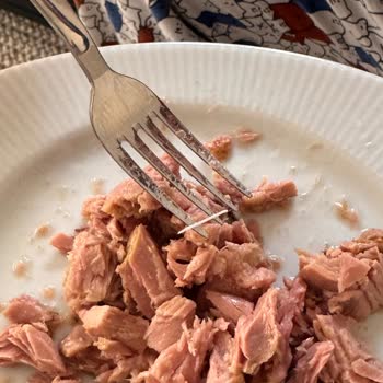 Ton Balığı Konserve İçinde Kılçık: Sağlık Tehlikesi