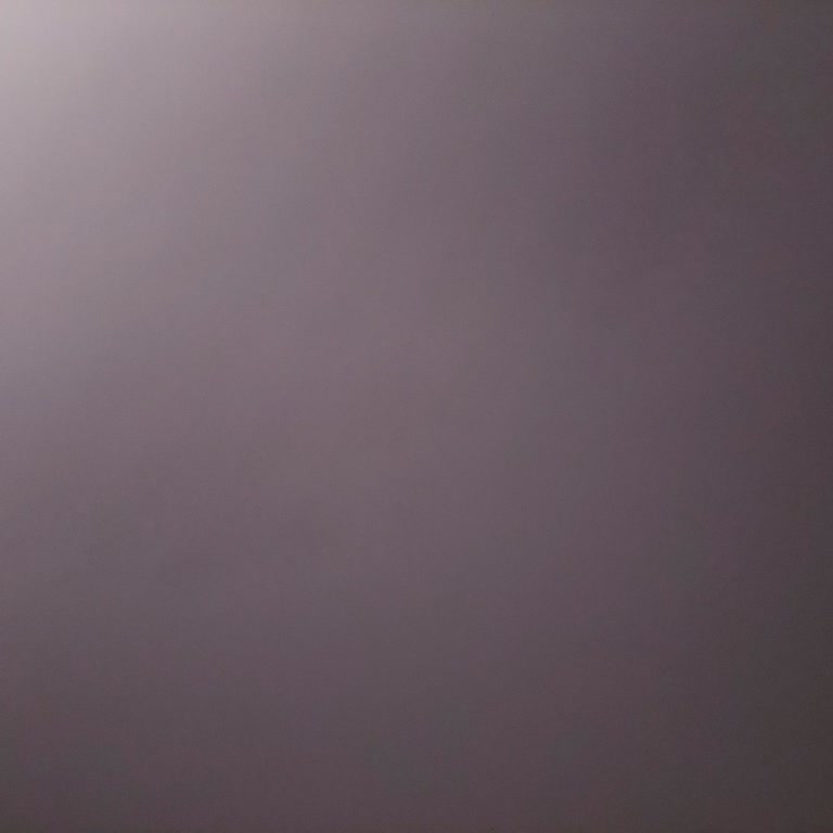 Arızalı Buharlı Temizleyicinin İade Talebimin Haksız Reddedilmesi