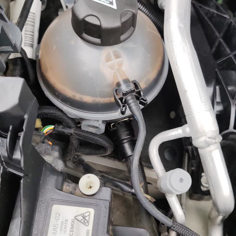 Peugeot 408'de Motor Soğutma Suyunun Siyah Olması, Servis Gecikmesi Ve İkame Araç Sağlanmaması