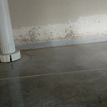 Karbeyaz Temizlik (İstanbul) Temizlik Yapılmadan Ödeme Alınması Ve  İade Talebi