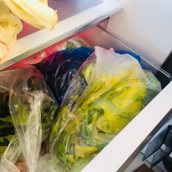 Arçelik Buzdolabı Arızası Nedeniyle Bozulan Gıdalar İçin Tazminat Talebim Açıklama Yok Kapandı