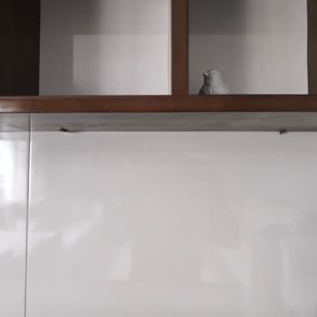 Maviyol Nakliyat’ta Mobilya Ve Bina Hasarı, Yanıltıcı Ücretlendirme