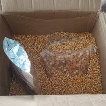 Yanlış Ve Düşük Kaliteli Kuruyemiş Gönderimi İçin Tam İade Talebi